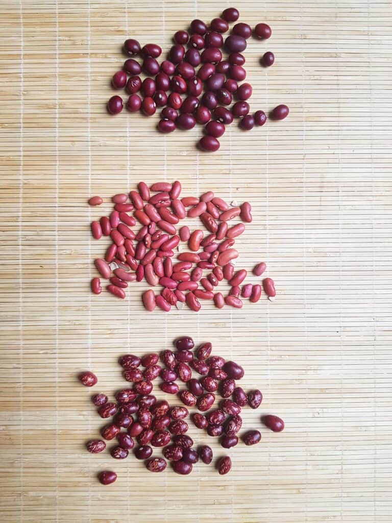 Three handfuls of different red beans on a table
